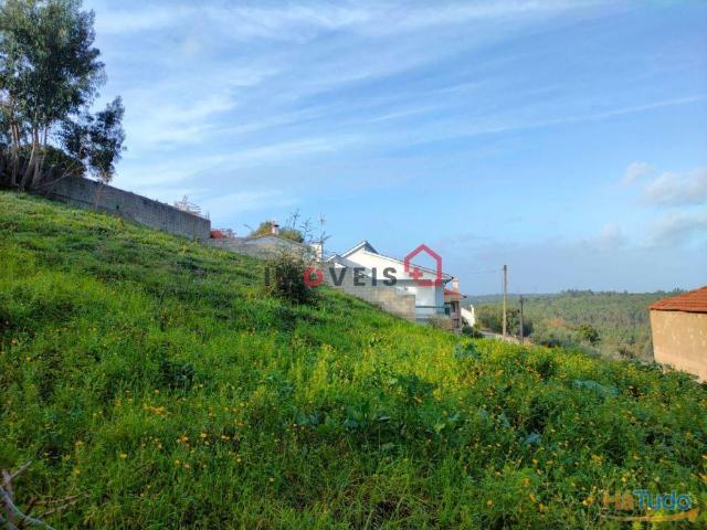 Terreno com 965 m2 | 26083249979