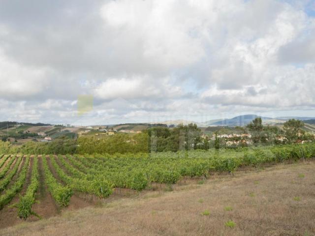 Terreno com 9.0000 de área de Urbana em Casal do Vale Freiria