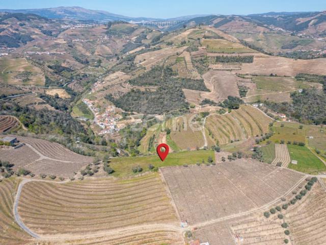 Terreno com 9 121 m2 situado em S. Marta de Penaguião