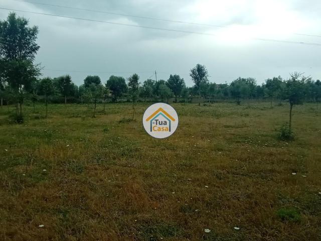 Terreno com 9.950 m2 junto a Barragem da Aguieira, com Viabilidade de Construção