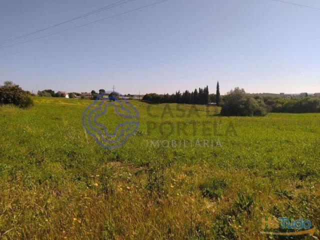 Terreno com 13.700m2 a 5 minutos da cidade de Tomar | 26063822959