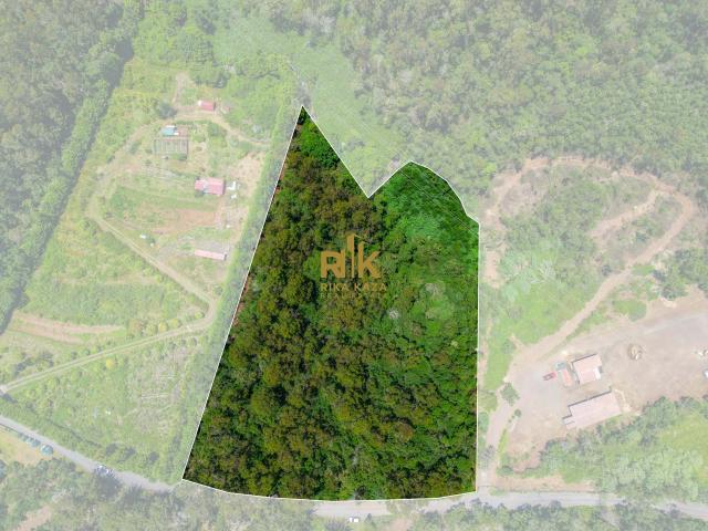 Terreno com 13.010m