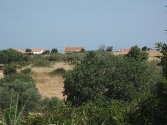 Terreno com 10000m2