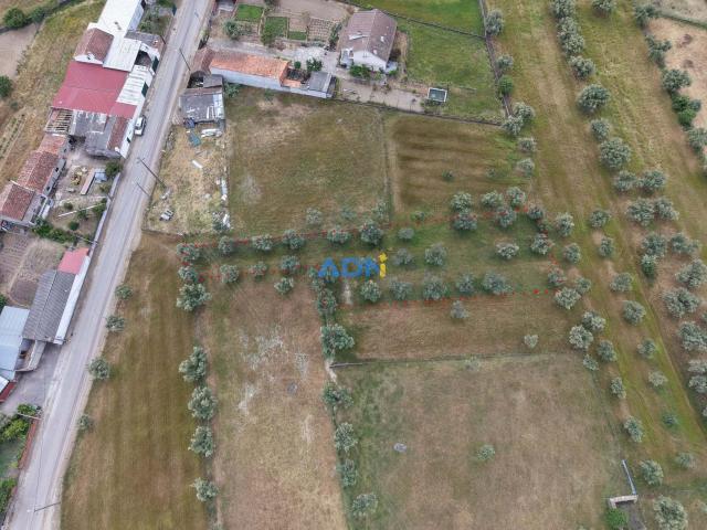 Terreno com 1000m2 sito em Chão da Vã