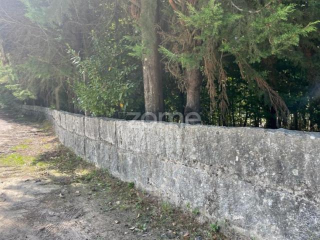 Terreno com 10 000M2 em, Sanfins, Paços de Ferreira