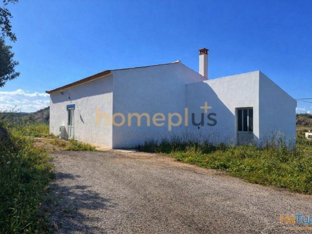 Terreno com 11.899 m² e Dois Artigos Urbanos | Potencial de Construção | Casas Novas | 26064055919