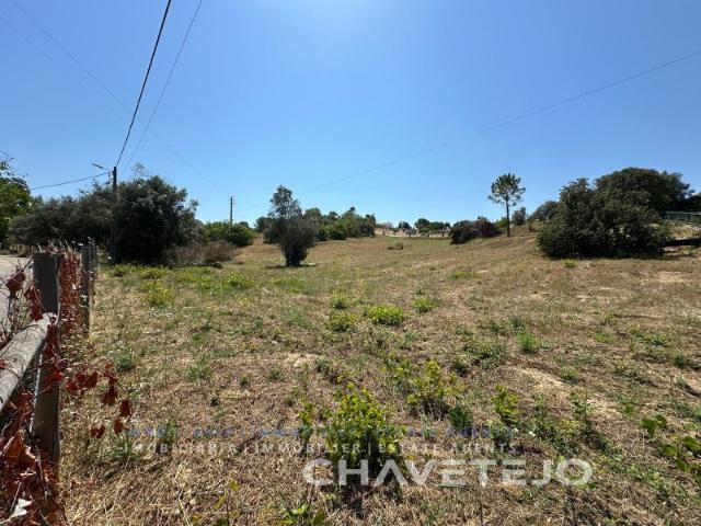 Terreno com 11.160m2 situado em Porto Mendo