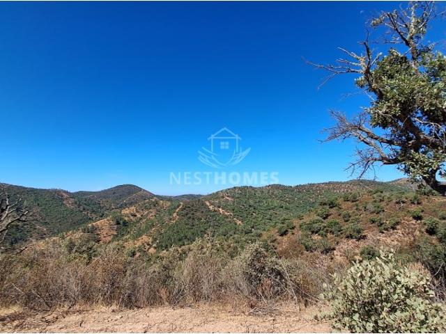 Terreno 11.300 m² com Ruína e Possibilidade de Casa Modular | Vistas Panorâmicas | Perto de Salir