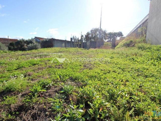 Terreno com 1200m2 | 26083859994