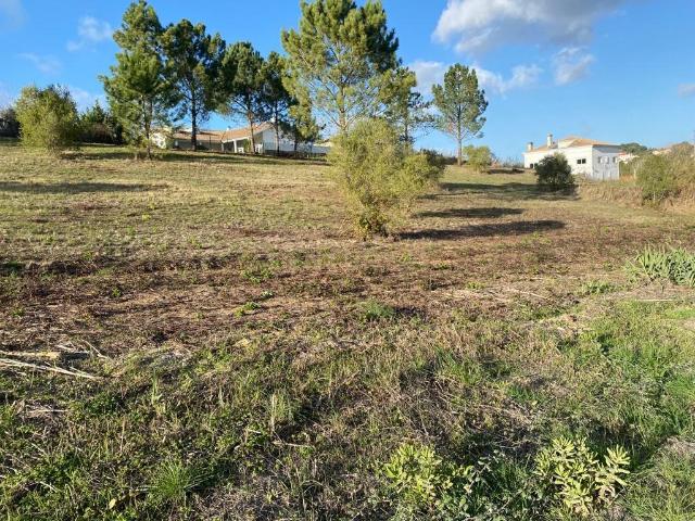 Terreno com 12.500 m2 com capacidade construtiva