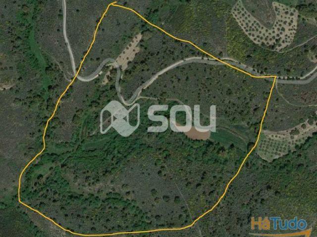 Terreno com 12ha em Mirandela | 26083913191