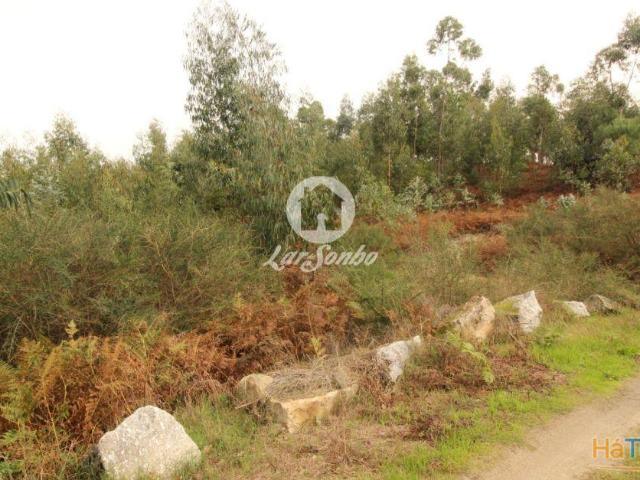 Terreno com 17.990m2 área S. Gens Fafe | 26084064200
