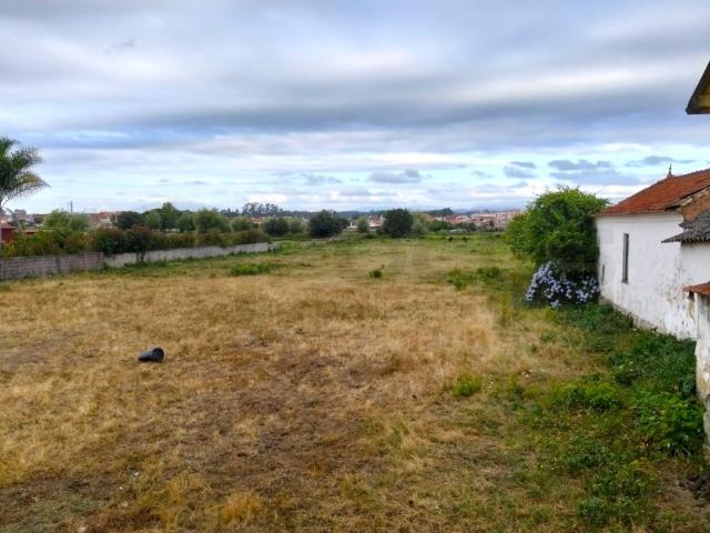 Terreno com 17m de frente Estarreja