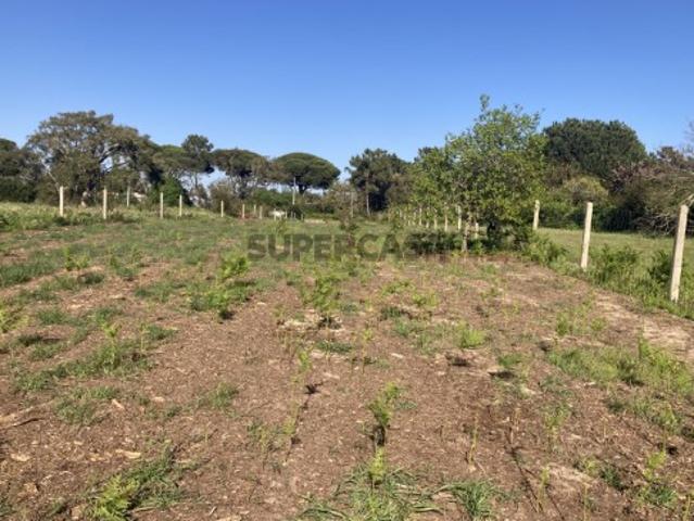Terreno com 1477m2 com projeto para moradia Meco Sesimbra