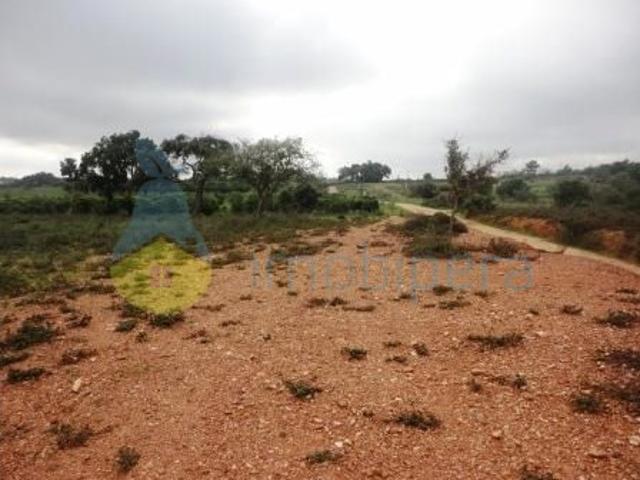Terreno com 14.800 m2 em Alcantarilha