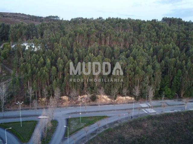 Terreno com 15.850 m² em Valongo – Quinta da Lousa / Lagueirões