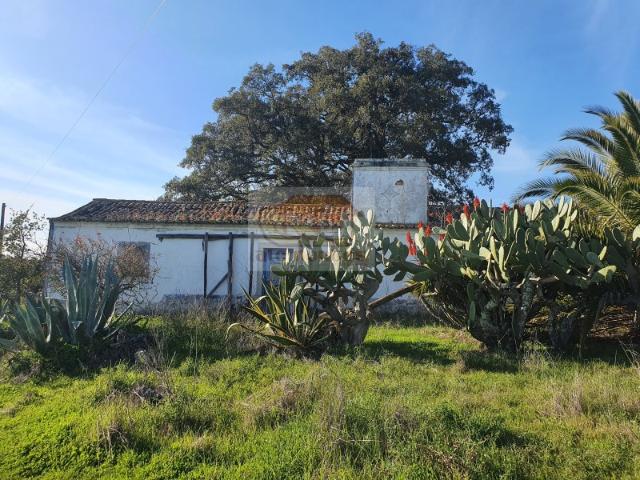 Terreno com 15 hectares e ruína para reabilitar a poucos minutos de Grândola