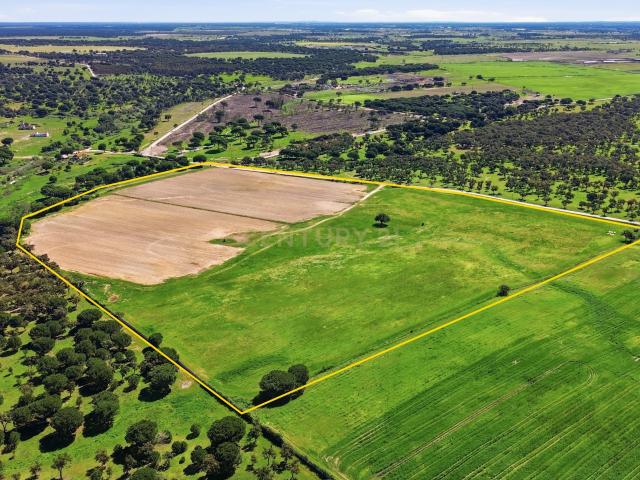Terreno com 15 Hectares e Viabilidade Multifunções | Alcochete