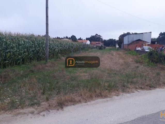Terreno com 1612m2 Passadiços Esgueira | 26082942593