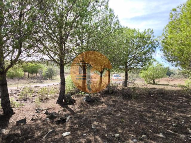 TERRENO COM 16.000 M2 PLANO ELETRICIDADE TORNEIRO EM ALCOUTIM ALGARVE