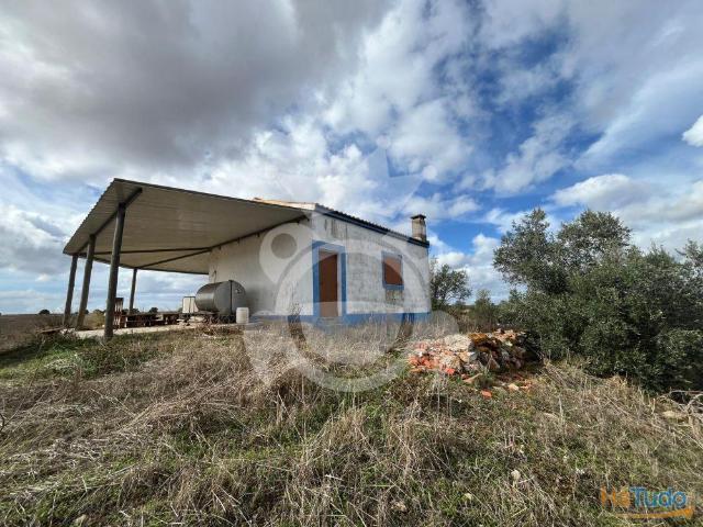 Terreno com 184500m2 em Ervidel | 26084061863