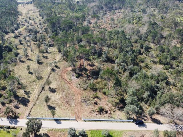 Terreno com 19.130 m² e frente de estrada – Orelhudo, Cernache | A poucos minutos de Coimbra