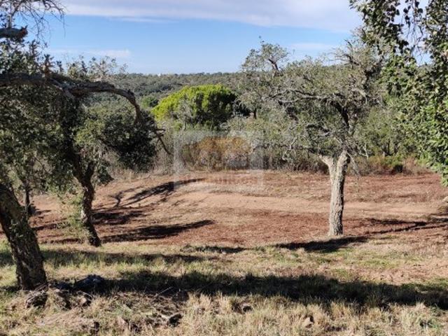 Terreno com 19ha a 8 km de Santiago do Cacem e a 20 km da Lagoa de Santo André!