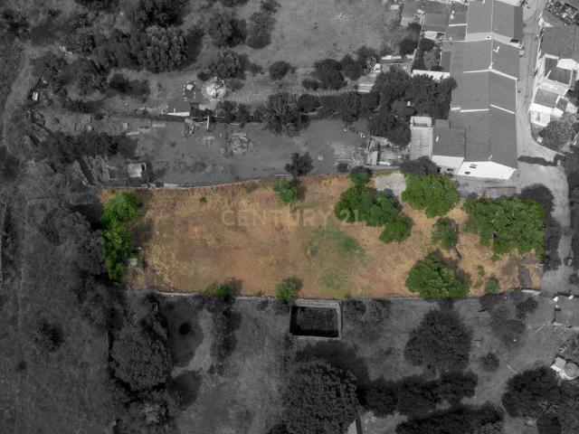 Terreno com 1.565m2 com Viabilidade de Construção nas Pedreiras I São Bartolomeu de Messines