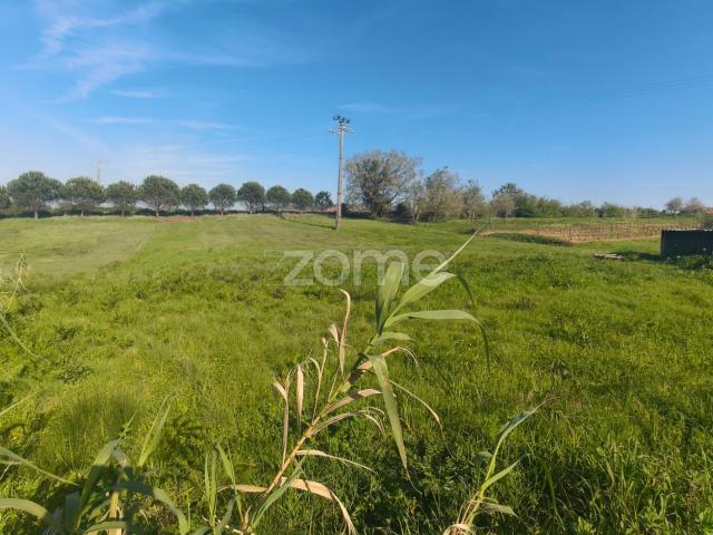 Terreno com 2100m2 para construção em Maceira