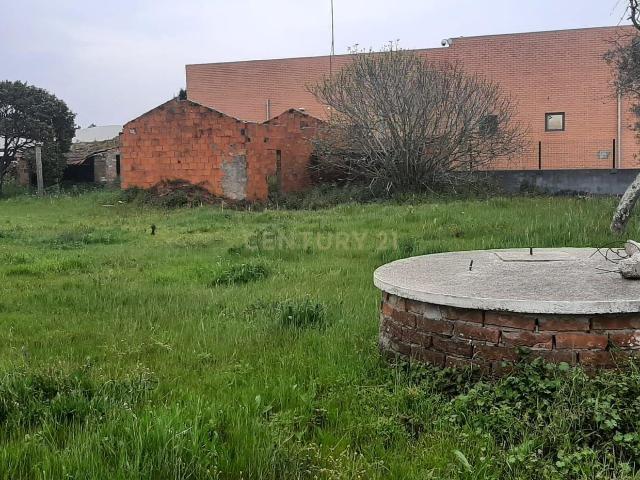 Terreno com 2256m2 ao lado Pingo Doce Embra
