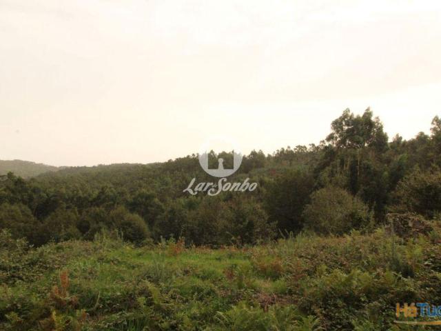 Terreno com 22.500m2 área S. Gens Fafe | 26084064198