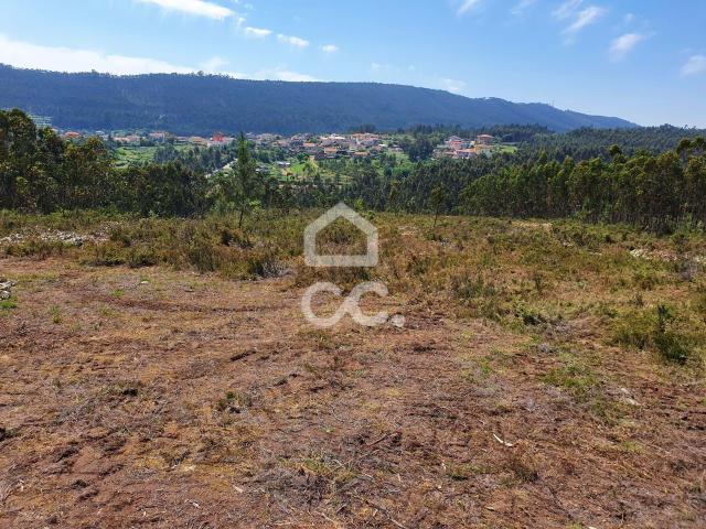 Terreno com 24.000m² para venda em Melres, Gondomar