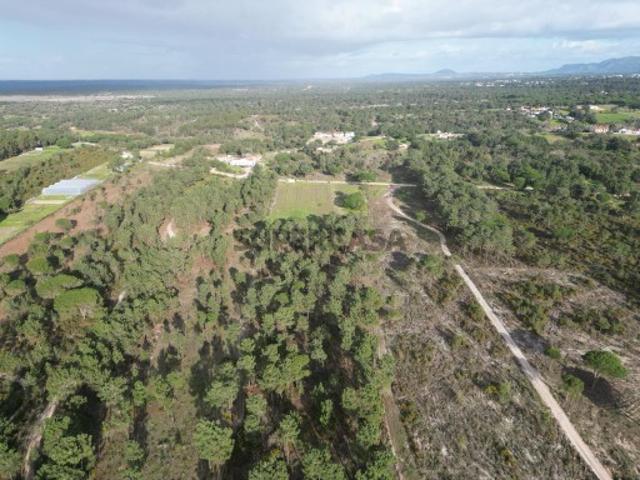 Terreno com 25122m2 perto das praias do Meco Sesimbra