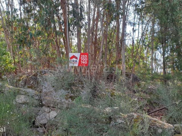 Terreno com 29.980 m2 em Cabeceiras de Basto