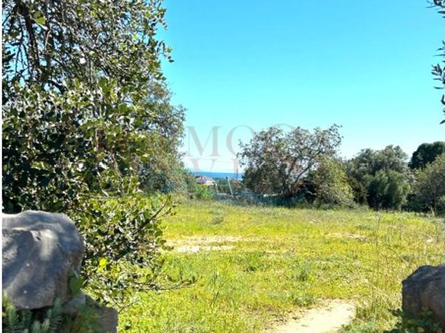 Terreno com 2 hectares e vista mar na Fuzeta