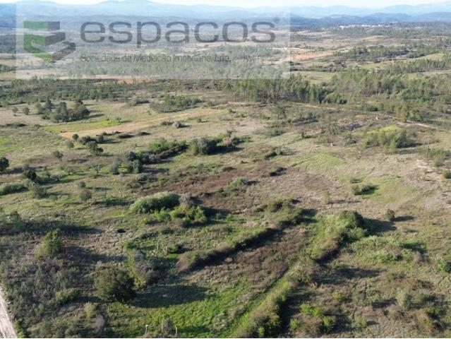 Terreno com 2 poços S. Domingos