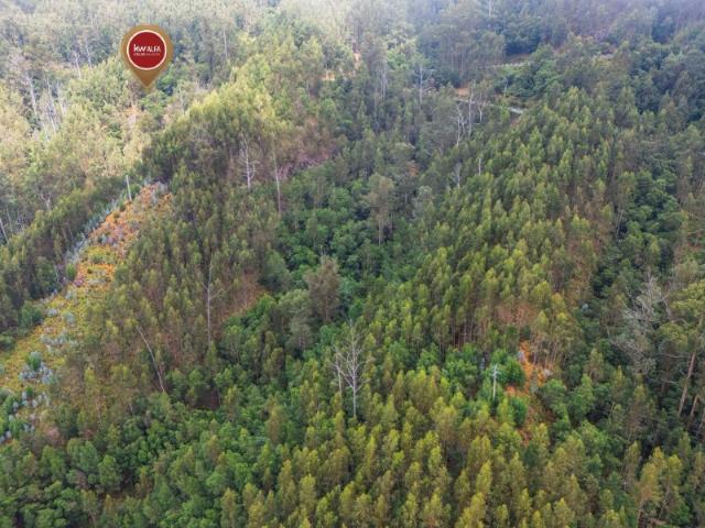 Terreno com 2.070 m2 no Monte