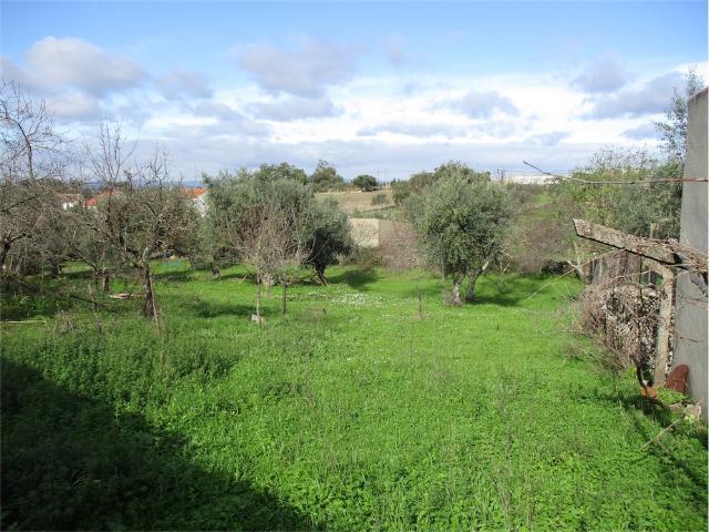 Terreno com 2.000m2, e um prédio em pedra para converter