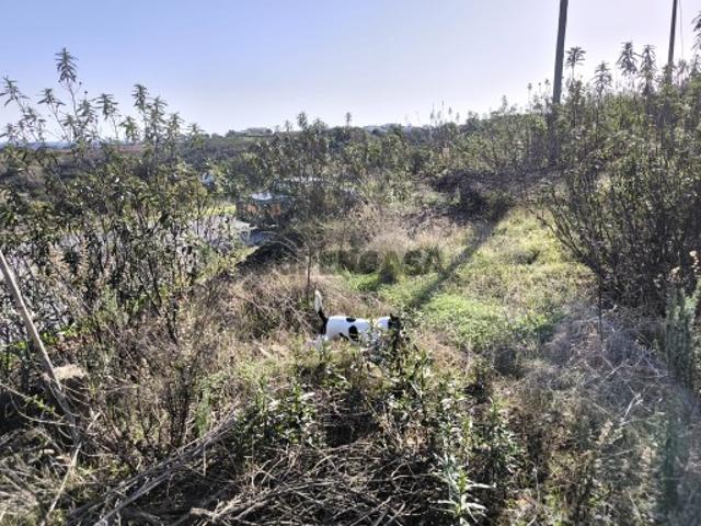 TERRENO COM 2.120 M² COM TERRAÇOS JUNTO AO ASFALTO NA CORTE DO GAGO EM CASTRO MARIM ALGARVE