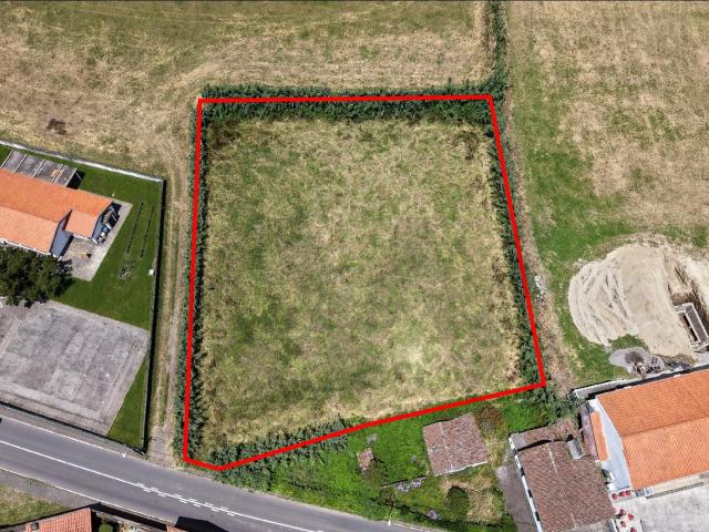 Terreno com 2.420 m² nos Ginetes – Excelente oportunidade de investimento