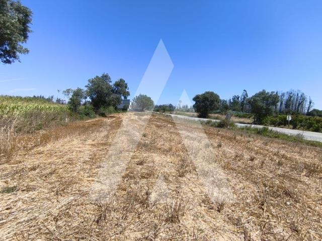 Terreno com 2.430 m2 em Albergaria a Velha