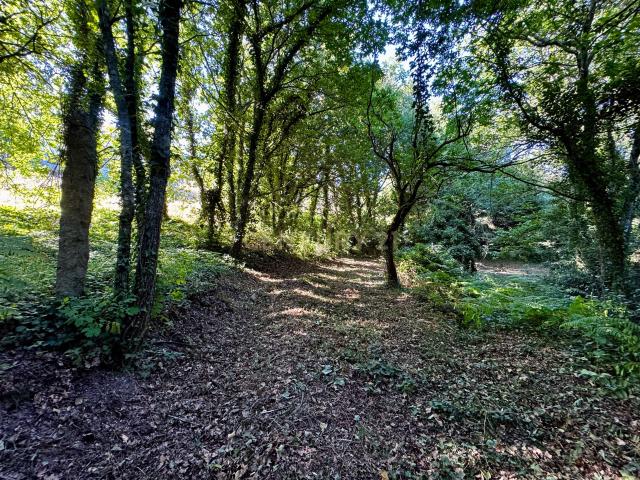 Terreno com 2,6519 hectares, situado em Abragão, Penafiel