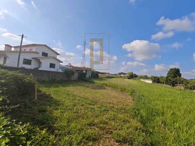 Terreno com 2.743,43 m² em Estarreja