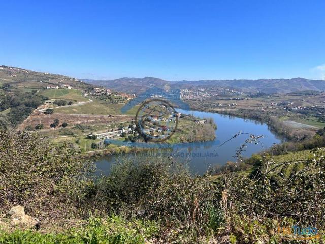 Terreno com 2H ? Douro Vinhateiro ? Peso da Régua | 26083533364