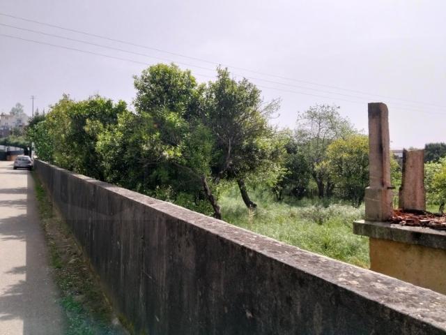 Terreno com 30m de frente Valmaior