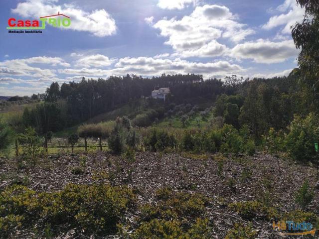 Terreno com 3239 m2 em Sta Eufémia | 26083258901