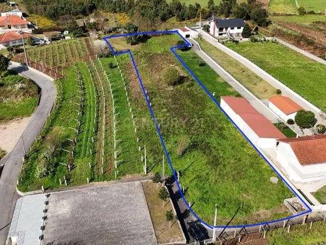 Terreno com 3600m2 Onde o Coração do Alvarinho Encontra a Serenidade do Rio Minho!