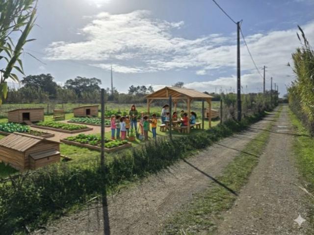 Terreno com 3750m2 em Sesimbra