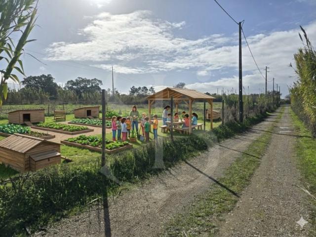 Terreno com 3750m2 em Sesimbra