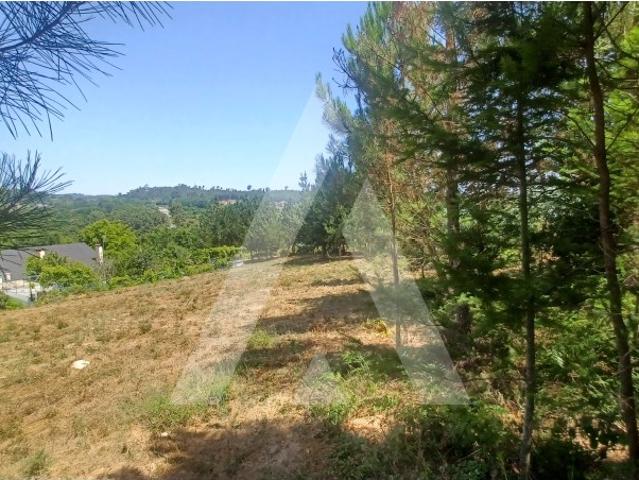 Terreno com 38.220m2 e 180m de frente para estrada principal